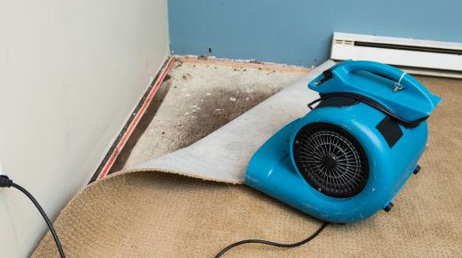 What to do after water damage in your home